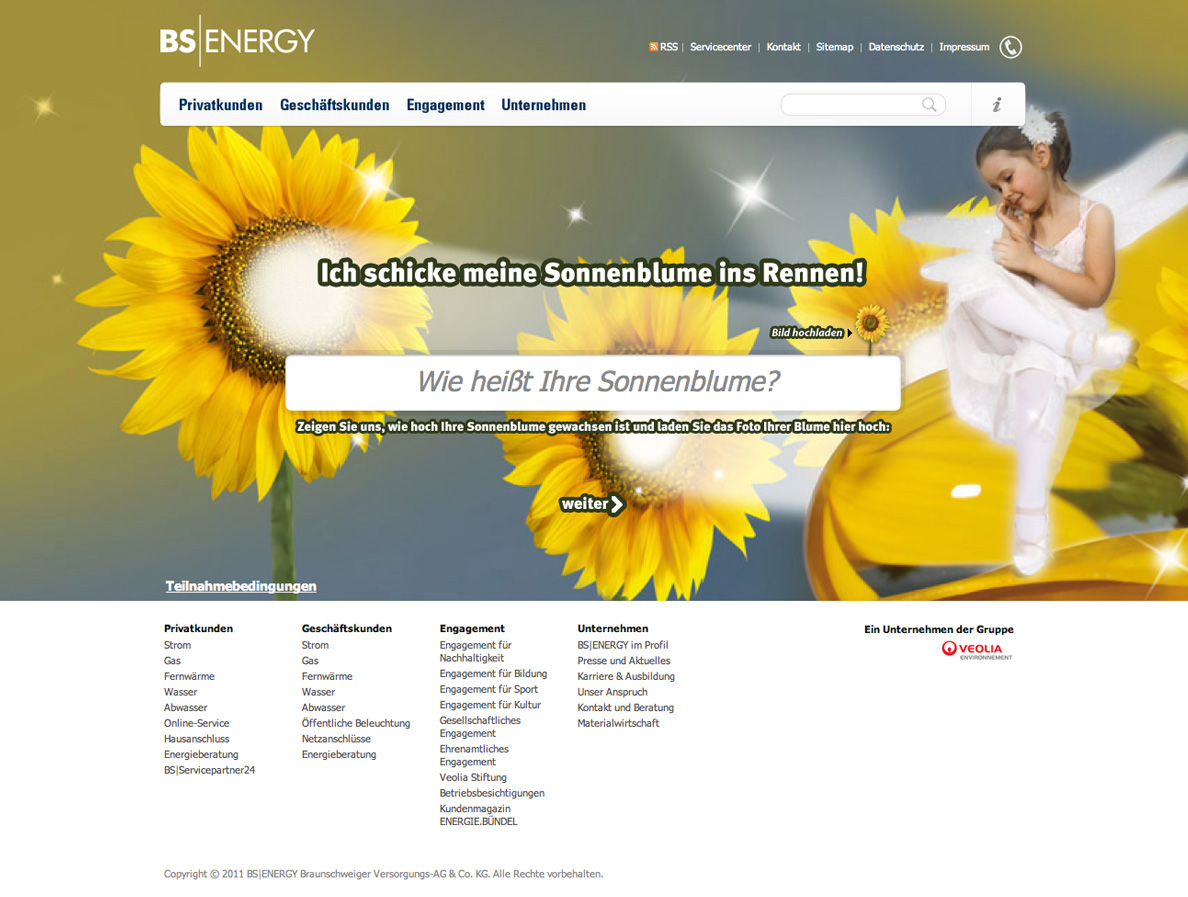 Screenshot der Online-Kampagne für BS|ENERGY