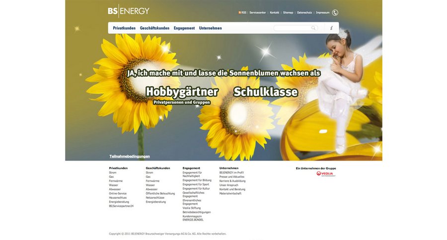 Screenshot der Online-Kampagne für BS|ENERGY